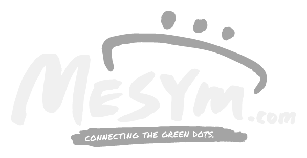 MESYM logo