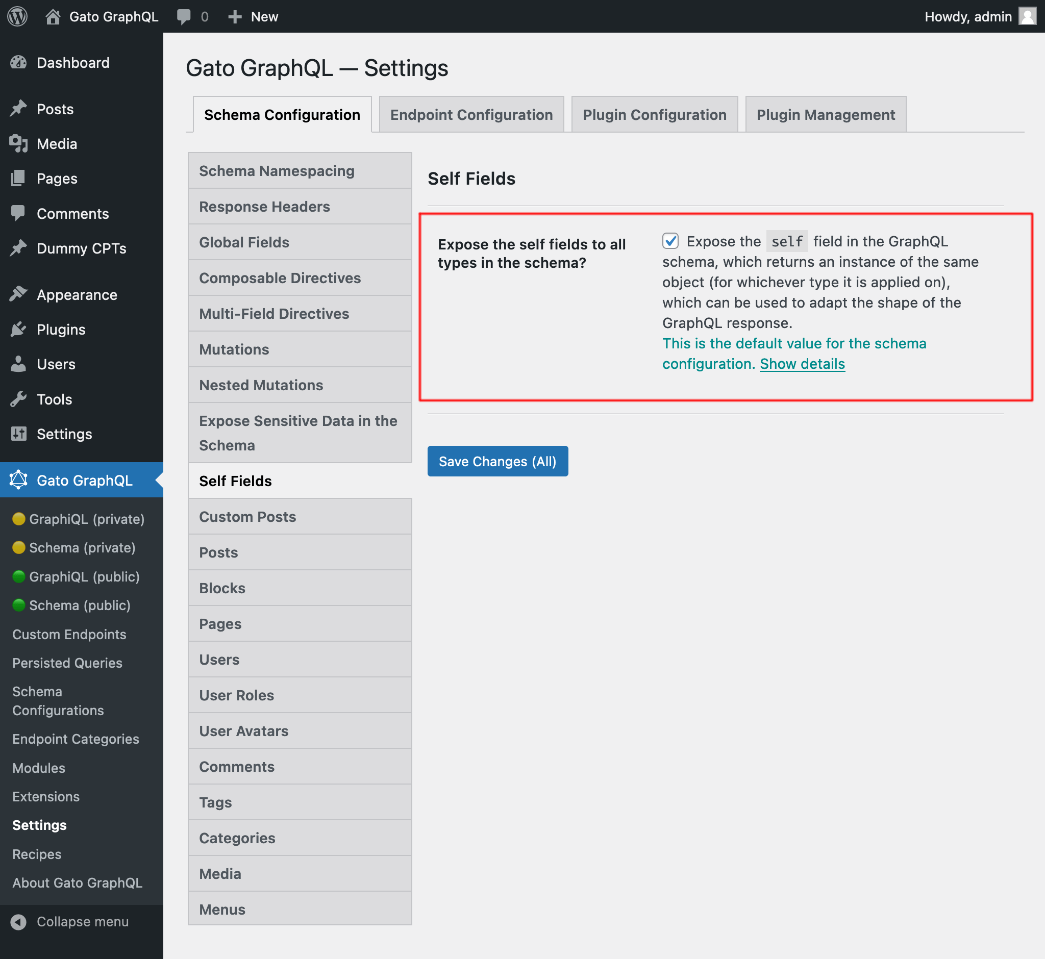 Setting self fields for the schema configuration, in the Settings
