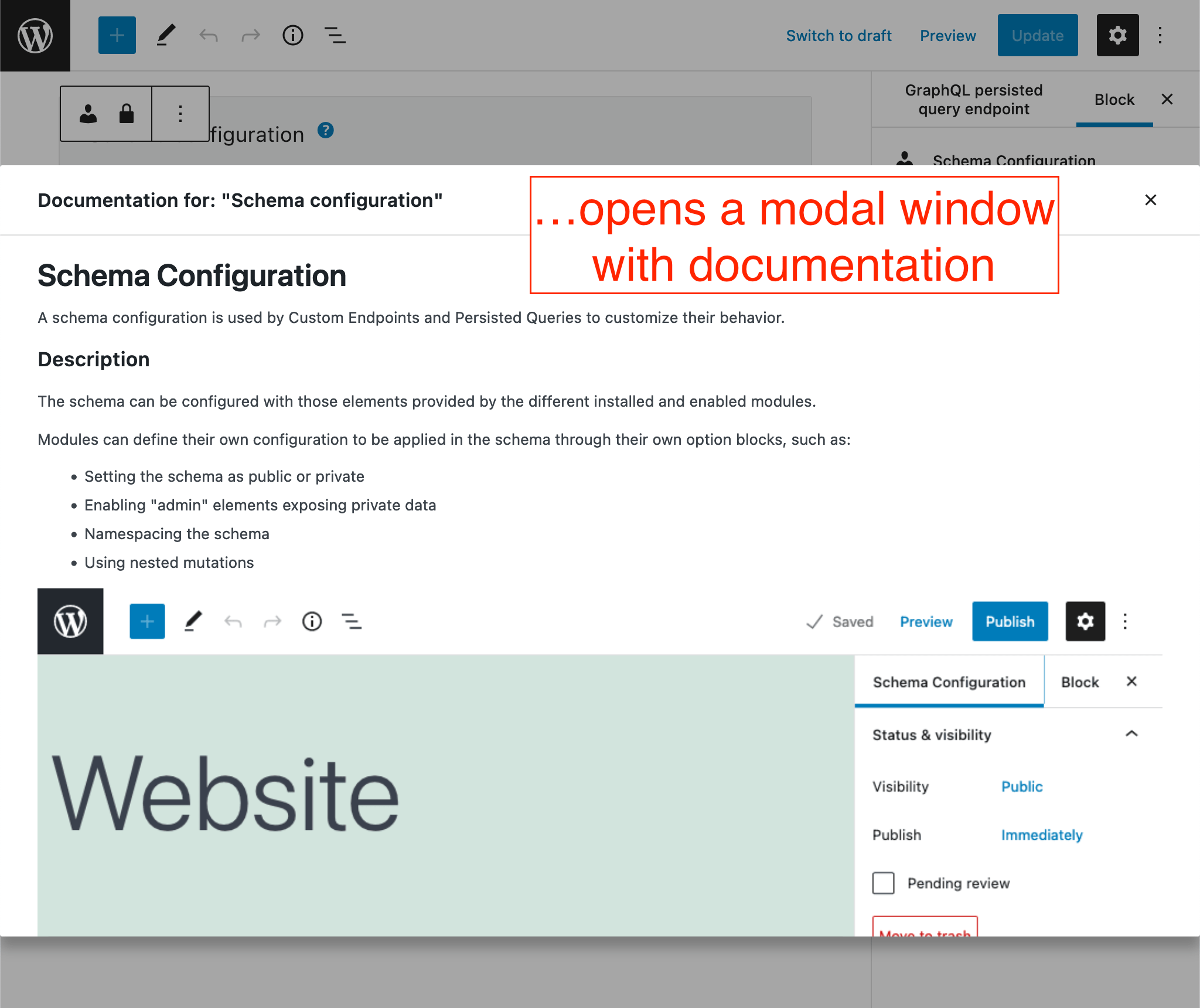 ...opens a modal window with documentation